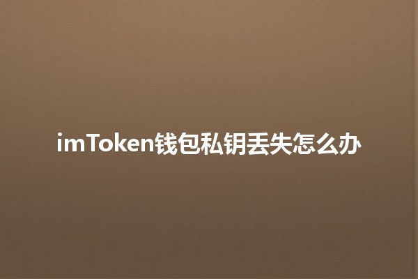 imToken钱包私钥丢失怎么办🛡️💰